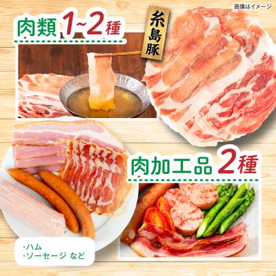 ふるさと納税 糸島市 【全4回定期便】糸島産 肉 米 野菜 果物 厳選詰め合わせ Mサイズ [AOP002] |  | 02