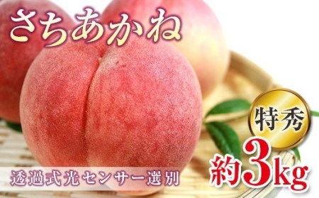 2025年出荷分 《先行予約》福島県産 さちあかね 約3kg 特秀 糖度12度以上 透過式光センサー選別 2025年8月中旬～2025年9月中旬発送 先行予約 予約 伊達の桃 固め 桃 もも モモ 果物 くだもの フルーツ 国産 食品 F20C-352