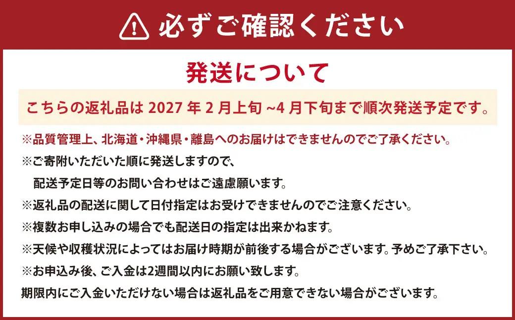 あまおうDX 約250～270g×4パック 合計約1120g デラックス いちご 苺 果物 くだもの フルーツ 【2027年2月上旬～4月下旬発送予定】