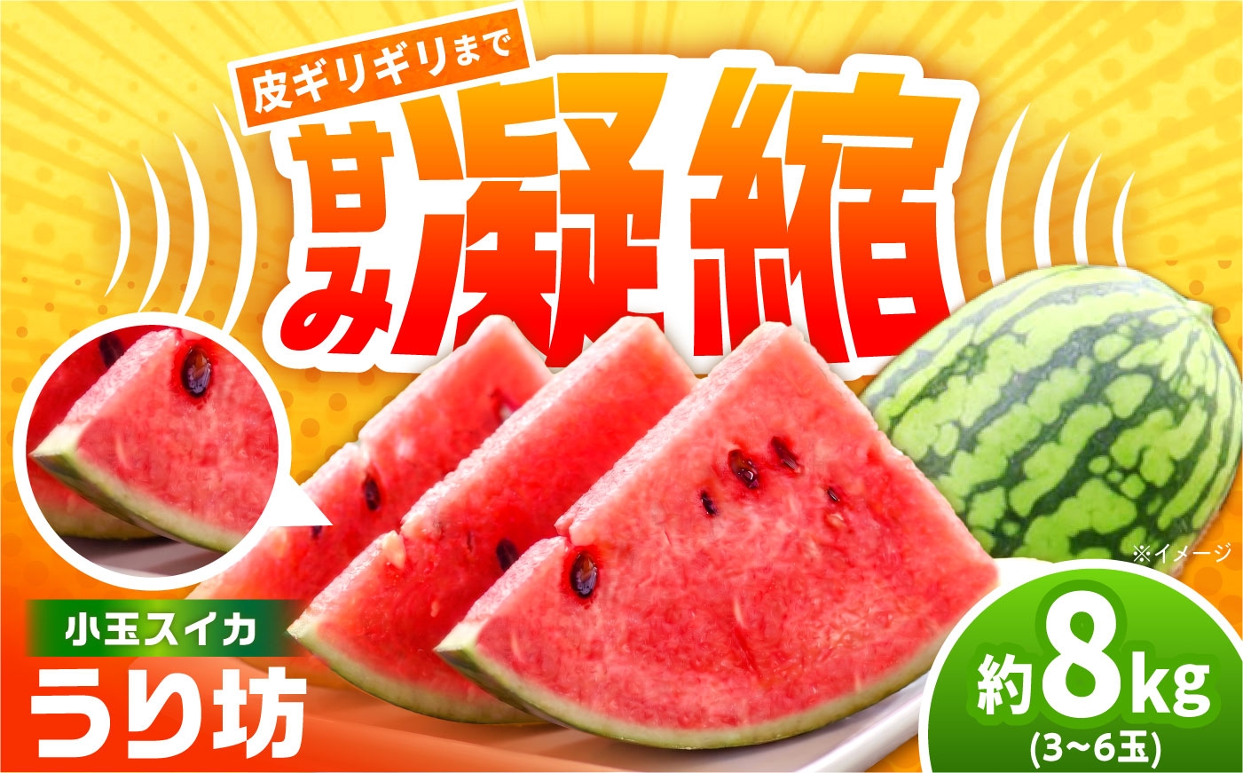 
                  小玉スイカ うり坊 約8kg 3～6玉 ハウス栽培限定 前田ファームから直送　長崎県/吉岡青果 [42ACAF032]　小玉スイカ/うり坊/スイカ/すいか/西瓜/フルーツ/果物/旬の果物/旬のフルーツ/国産/贈答/ギフト/贈り物/ハウス栽培/高糖度/長崎県
                