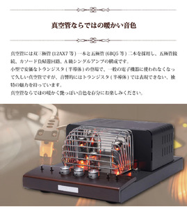 スピーカー 真空管プリメインアンプスピーカーシステム SOUND WARRIOR SWL-T20SET1