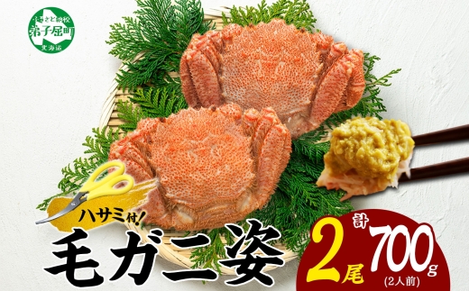 3334.毛蟹 2尾 計700g前後 食べ方ガイド・専用ハサミ付 カニ かに 蟹 海鮮 ボイル 送料無料 北海道 弟子屈町