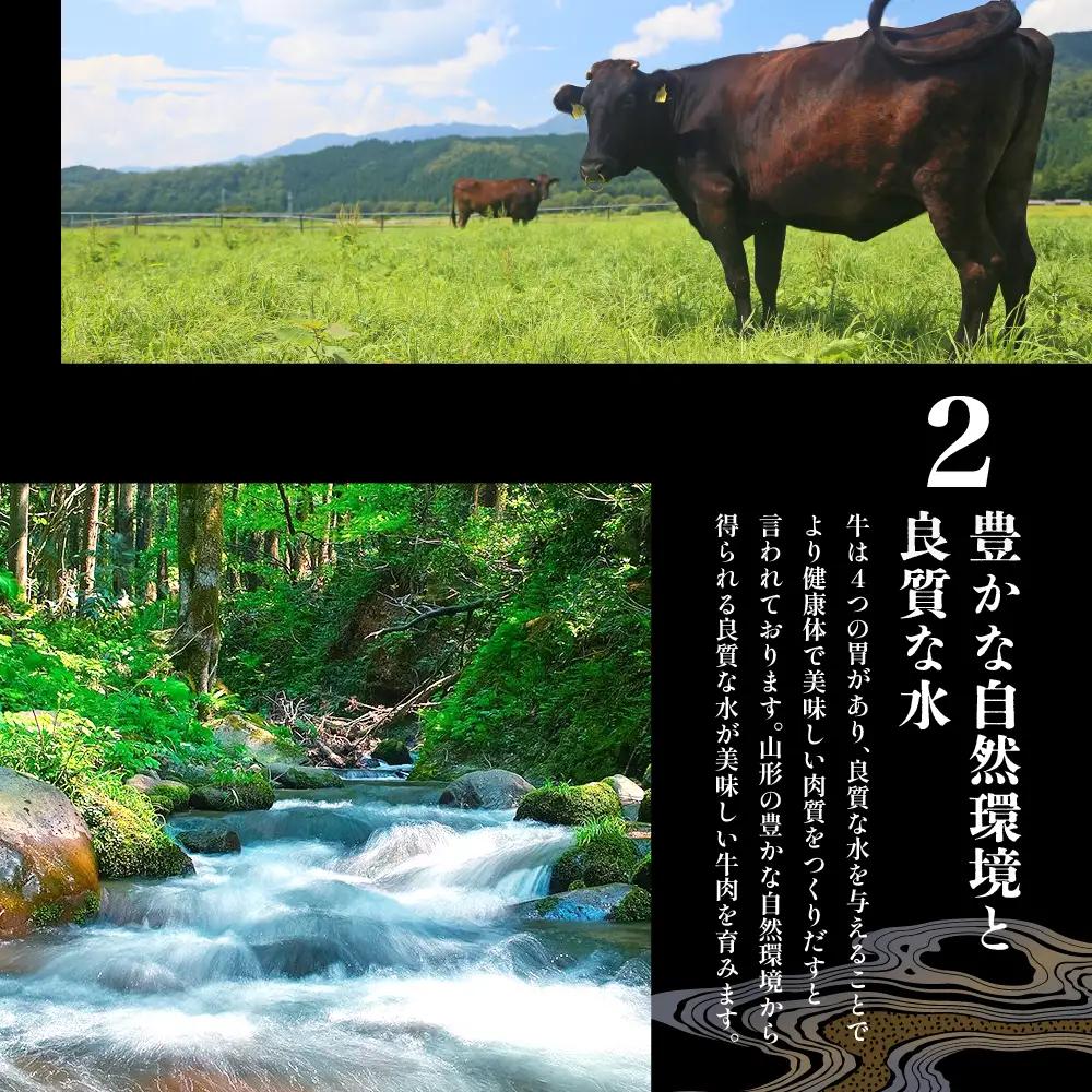 定期便 10ヶ月 山形牛 最高級 5等級のみ 山形牛 定期便