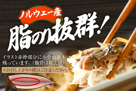 鯖 お試し さば 塩サバ 塩焼鯖6枚 大ぶり 調理済 レンチン 温めるだけ 脂のり 惣菜 晩御飯 おかず ジューシー 冷凍 お弁当 レンジ調理 サバ 自社製造 朝ごはん 和食 簡単調理 アレンジ 塩焼