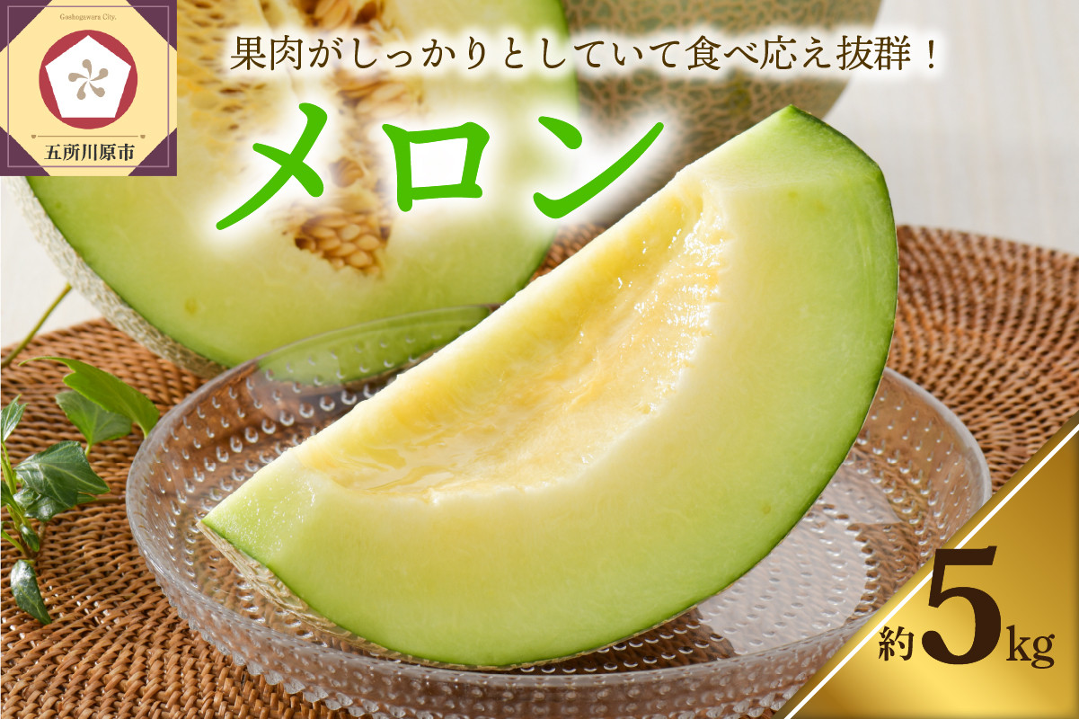 
            【2025年先行予約】【選べる配送時期】メロン5kg程度(緑肉4～6玉)津軽産
          