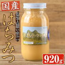 【ふるさと納税】国産 はちみつ (920g) ハチミツ 蜂蜜 ロイヤルゼリー 調味料 スイーツ 多賀さん採蜜 大分県 佐伯市【AY73】【 (公財)さいき農林公社】