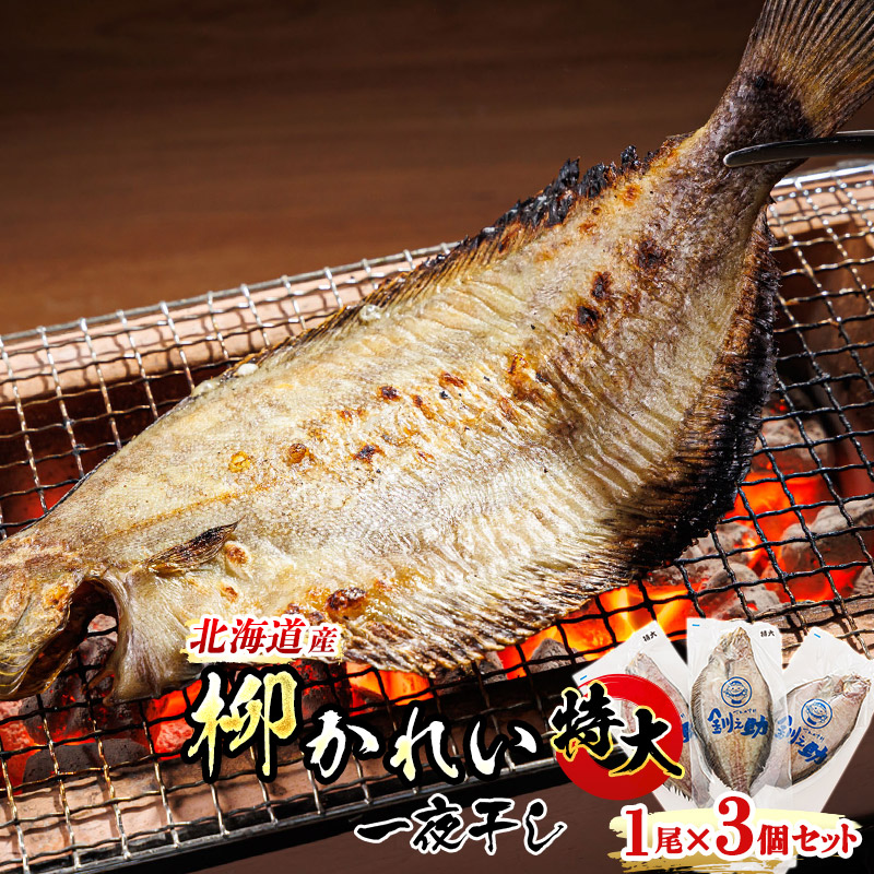 北海道産 特大 柳かれい 一夜干し 1尾×3個セット｜ セット ひもの 冷凍 すぐ届く 魚介類 笹谷商店 直営 釧之助本店 せんのすけ 高級 すぐ発 北海道 釧路町 釧路超 特産品
