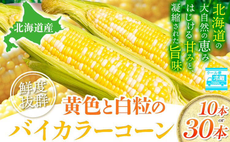 
            【2025年先行予約】照之家商店 鮮度抜群 とうもろこし「黄色と白粒のバイカラーコーン」10本 30本 選べる とうもろこし トウモロコシ 北海道とうもろこし 朝採れとうもろこし 産地直送とうもろこし 北海道産とうもろこし st-p
          