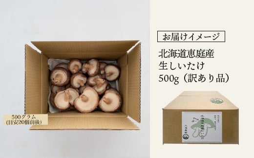《数量限定》北海道恵庭産生しいたけ500g（訳あり品）