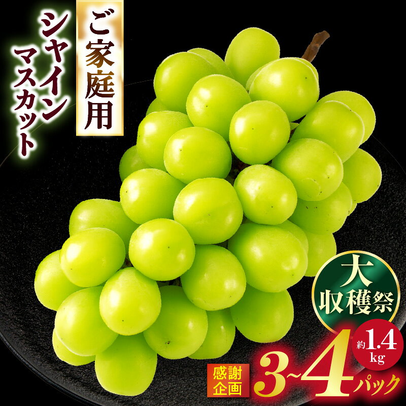 【ふるさと納税】【大収穫祭・感謝企画】ご家庭用シャインマスカットパック　約1.4kg(3～4パック) | シャインマスカット マスカット ぶどう ブドウ 果物 くだもの 国産 ギフト 旬 人気 種なし糖度が高い 季節限定 おすすめ 旬の果物 香川 香川県 三木町 ご家庭用 訳あり