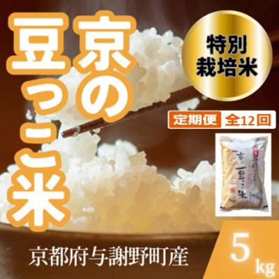 ふるさと納税 与謝野町 【毎月定期便】京都府与謝野町産 丹後コシヒカリ 精米5kg　特別栽培米 京の豆っこ米全12回