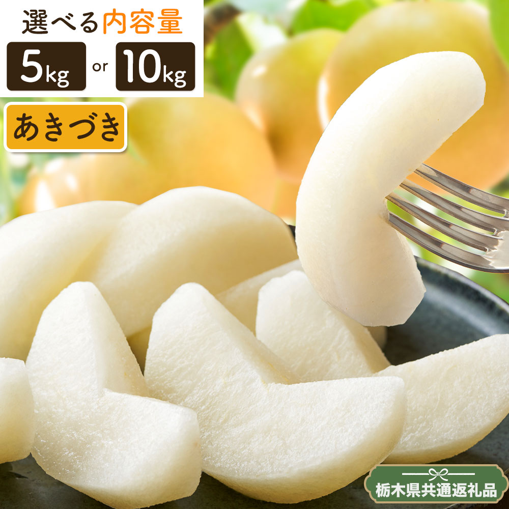 【ふるさと納税】N09 梨 なし あきづき 5kg or 10kg フルーツ 先行予約 矢畑むらづくり組合《9月上旬-9月下旬に出荷予定(土日祝除く)》 栃木県【栃木県共通返礼品　栃木県産】【配送不可地域あり】