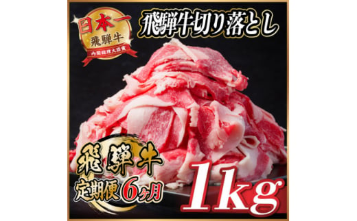 ＜毎月定期便＞飛騨牛　切り落とし　約1kg＜冷蔵便＞全6回【4055087】