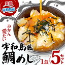 【ふるさと納税】 鯛めし 5食 セット みかん 鯛 宇和島鯛めし 南予ビージョイ 真鯛 鯛 マダイ タイ tai 刺身 お刺身 刺し身 漬け丼 漬け 海鮮丼 郷土料理 鯛飯 海鮮 人気 海の幸 魚介 人気加工品 冷凍 小分け パック お手軽 便利 産地直送 国産 愛媛 宇和島 D010-150004