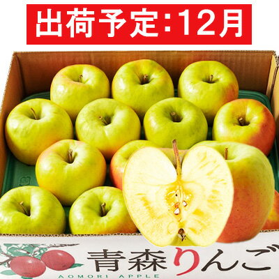 【ふるさと納税】12月 贈答規格 ぐんま名月約5kg　糖度13度以上【青森りんご・マルコウアップル】 果物類 果物 フルーツ 幻のりんご ジューシー 　お届け：2025年12月1日～2025年12月31日