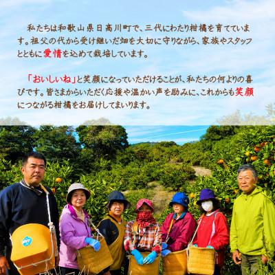 ふるさと納税 日高川町 【低農薬・ノーワックス】国産レモン 3kg/和歌山県日高川町産 |  | 01