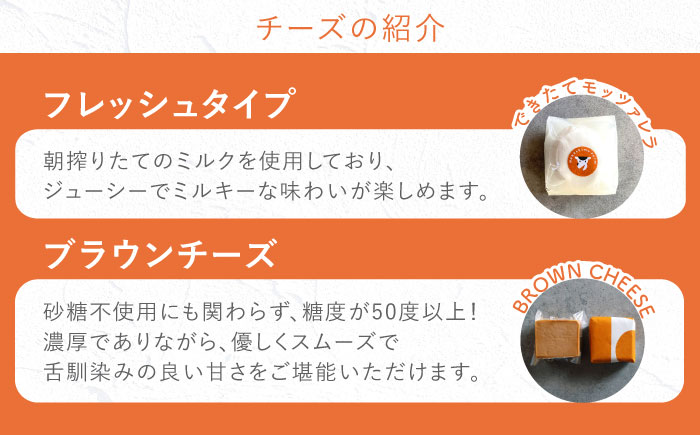 【2月発送】〈酪農家の手作り〉ナカシマファームのフルコースセット 全13種 計17個【ナカシマファーム】 [NAJ015] ナカシマファーム 酪農家 手づくりチーズ 食べくらべ 詰め合わせ