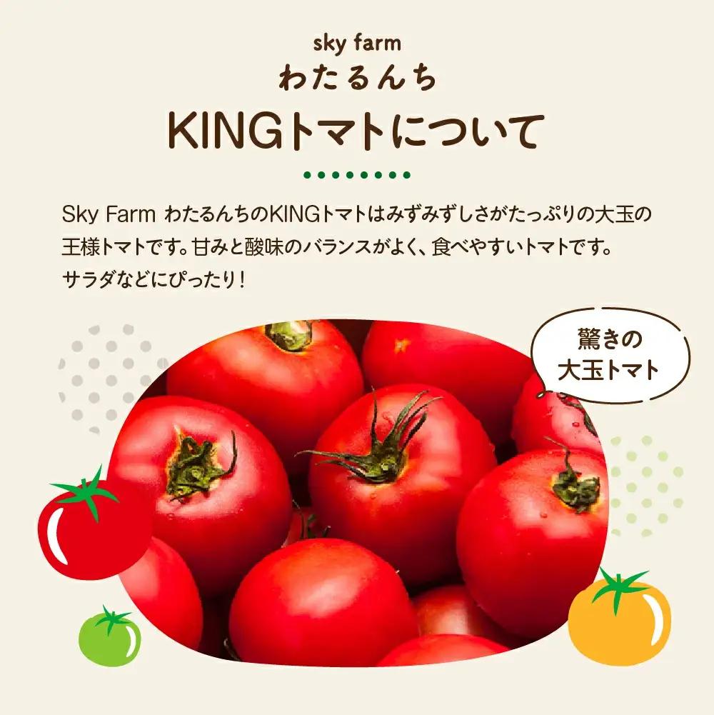 KINGトマト・プチぷよトマトジュース 2本セット　【11218-0892】