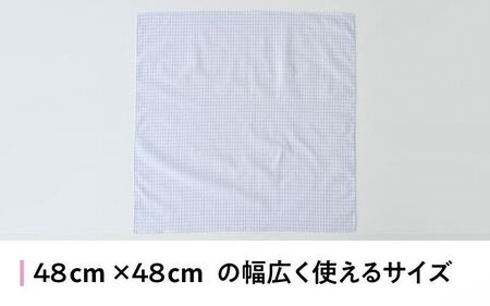【ギフト対応・ラッピング済】 【播州織】 レディース用ハンカチ2枚セット B／ CHECK&STRIPE おしゃれ 綿素材 日本製 ハンカチ ギフトセット オリジナル 女性向け 雑貨 プレゼント