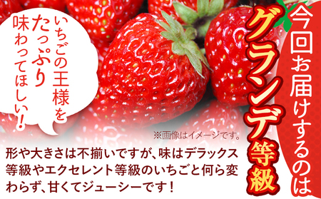 いちご あまおう 先行予約 いちご 大量 540g 選べる発送時期 定期便 フルーツ《2025年3月発送》苺 旬 くだもの 果物 福岡県 小竹町