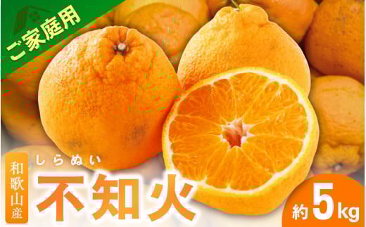 ＜2月より発送＞【先行予約】家庭用不知火5kg+250g（傷み補償分）【デコポンと同品種・人気の春みかん】【わけあり・訳あり】 フルーツ 果物 くだもの 柑橘 和歌山【ikd163C】