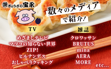 【 全6回 定期便（隔月）】ぎょうざ の 宝永 しそ餃子セット（ 宝永餃子 15個入×2袋＆ しそ餃子 15個入×2袋 ）合計1.5kg T004-T04-03 惣菜 総菜 ギョウザ 餃子 