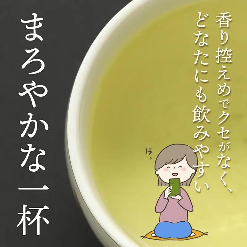舞鶴茶 青柳（あおやぎ）2袋 600g /300g×2 | 緑茶 茶葉