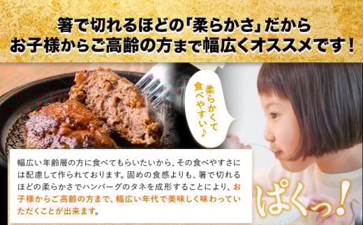 ステーキマニア監修 熊本県産あか牛100%生ハンバーグ 140g×13個入り3セット 合計5460g 《2026年1月中旬-3月末頃出荷》熊本県産あか牛 冷凍