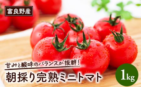 【2027年夏発送】完熟 富良野 ミニトマト 約1kg 野菜 トマト 新鮮 直送 朝採り北海道