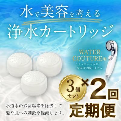 ふるさと納税 幸田町 【定期便】シャワーヘッド用 浄水カートリッジ ( 3個セット × 2回発送 定期便 )