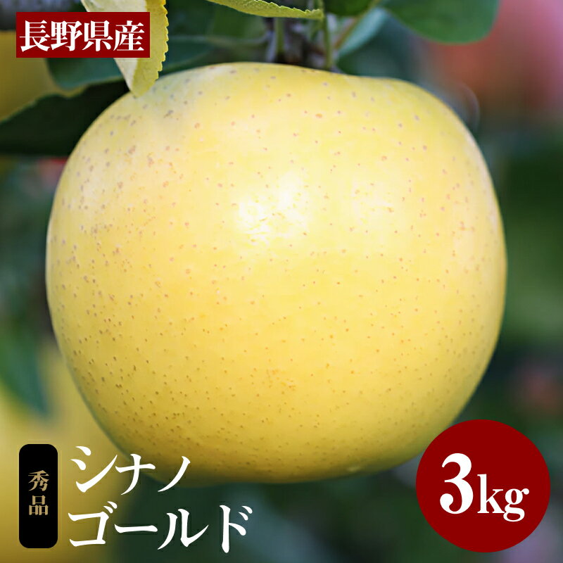 【ふるさと納税】りんご シナノゴールド ジューシー な 黄金色 りんご シナノゴールド 約3kg 秀品 〈2025年10月下旬〜11月末発送〉| 果物 くだもの フルーツ りんご 林檎 リンゴ 黄色 黄金色りんご シナノゴールド 長野県 信州 南信州 飯田市 B16
