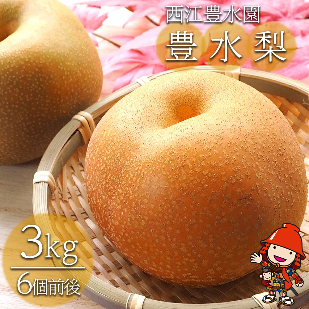 【ふるさと納税】西江豊水園の豊水梨 約3kg ( 6個前後 ) | フルーツ 果物 くだもの 果実 数量限定 旬 完熟梨 梨 なし ナシ 豊水 豊水梨 和梨 3kg 3キロ 新鮮 産地直送 大分県産 九州産 国産 大分県 中津市 送料無料【発送は2025年8月26日～9月5日頃までの予定】