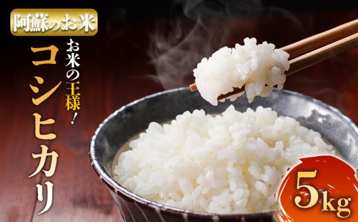 【選べる回数】届く回数が選べる R7年産コシヒカリ 5kg プロ厳選の産地直送米 1回  精米 白米  ふるさと納税 おすすめ 阿蘇米 阿蘇のお米 ご飯 ごはん 美味しい 寒暖差 湧き水 お取り寄せ 食卓 豪華 贅沢 自然 湧水 熊本県 阿蘇市