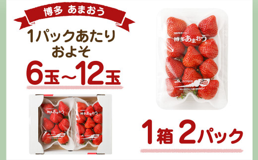 大粒セレクト！大人気のあまおう　福岡県産いちご　280g×2パック【2025年2月中旬～3月中旬発送】_HA0277