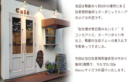 【宝塚】Qグレード珈琲3種類 当日自家焙煎珈琲100g×3種【豆】