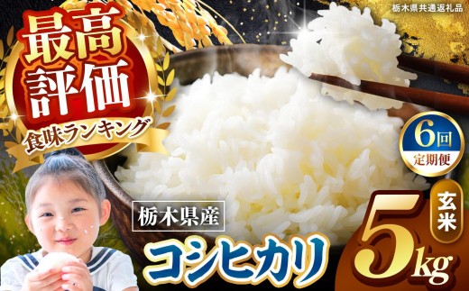 【定期便6回】栃木県産 こしひかり 玄米 5kg 2026年 先行予約 | 栃木県 矢板市