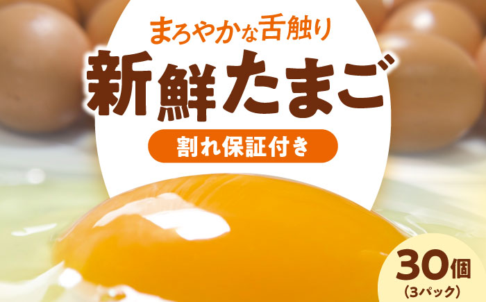 平飼い 海草たまご 3パック（30個入り）割れ保証あり 愛媛県大洲市/和田養鶏場 卵 たまご 鶏卵 卵料理 玉子 [AGDQ001]