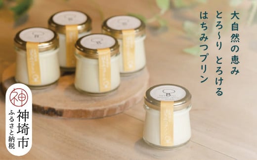 
            えこびと農園のとろけるはちみつプリン 5個セット 【スイーツ プリン プリン県佐賀 プリンマップ 生はちみつ 佐賀県産はちみつ はちみつプリン α-リノレン酸 おすすめ 手作り 無添加  美味しい】(H037140)
          