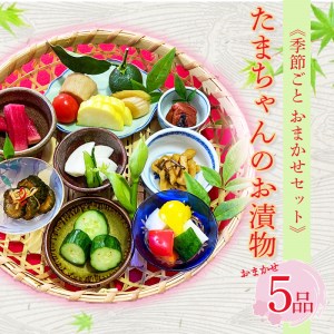 【お漬物】 詰め合わせ 季節野菜 5品 おまかせ 漬物