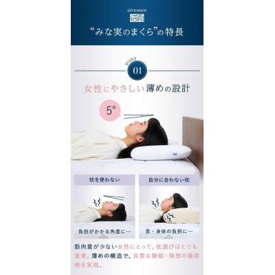 ふるさと納税 大府市 【大府市産新米5合付き】【ピローケース スリム セット】エアウィーヴ ピロースリム |  | 03