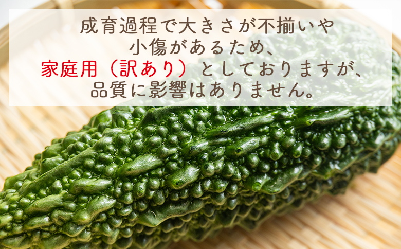 【2026年10月以降順次発送】ゴーヤ 2kg 家庭用 - 国産 野菜 青果 ごうや 苦瓜 天ぷら 炒め物 ご家庭用 不揃い 傷 やすらぎ市 高知県 香南市 冷蔵 yr-0074