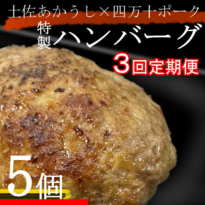 【ふるさと納税】土佐あかうしと四万十ポークのハンバーグ　5個セット【3回定期便】 惣菜 おかず 冷凍 小分け 豚 高知県 牛 四万十ポーク 土佐あかうし 赤牛 赤うし 国産 温めるだけ 湯煎 送料無料 yj082