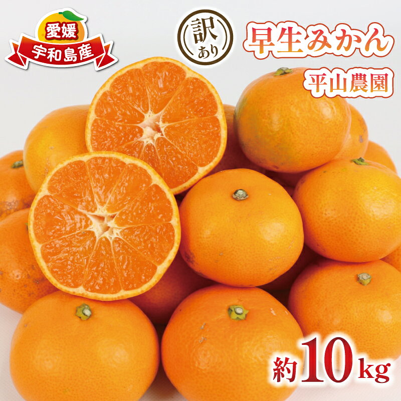 【ふるさと納税】 訳あり 早生みかん 約 10kg 平山農園 先行予約 早生 温州 みかん わせみかん 宮川早生 温州みかん 愛媛みかん 愛媛蜜柑 蜜柑 mikan 果物 くだもの フルーツ 柑橘 数量限定 産地直送 農家直送 国産 愛媛 宇和島 B010-211003
