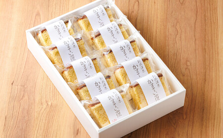お菓子詰め合わせ カステラセット(人気のかすてい羅 10コ)＜北海道のおすすめスイーツセット＞【配送不可地域：離島】【1108581】