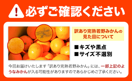 みかん 訳あり 10kg 若野みかん サイズ混合(11月下旬-12月中旬頃出荷)