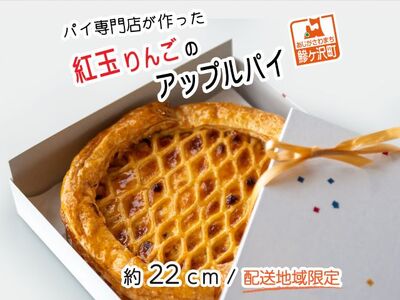 アップルパイ 冷蔵 ホール 22cm アップルパイ