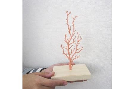 珊瑚職人館 珊瑚 原木・拝見・置物7