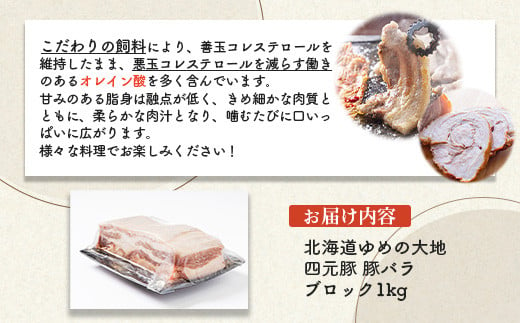 【北海道ブランド豚】「ゆめの大地」 豚バラブロック 1kg