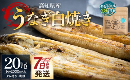 
            白焼き 国産うなぎ 高知県産 20尾(100～110g×20尾) 合計2kg以上 田野町完全天日塩 20g付き 黒箱 7日程度 yw-0088
          