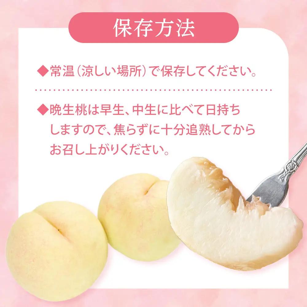 2026年 先行予約 ご家庭用 岡山 の 桃 固め 晩生種 約2kg（5～9玉）（黄金桃の場合もあります）|　桃